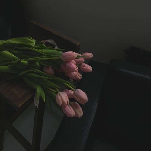 Ксения, 7 ноября 2025