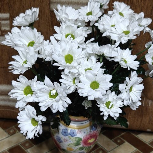 Алена, 12 января 2026