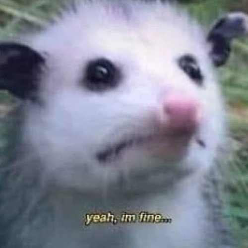 Людмила, 10 октября 2025