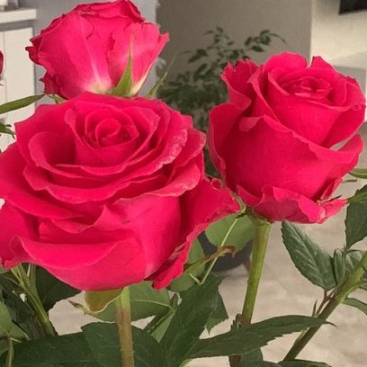 Наталья, 10 марта 2026