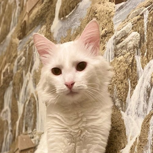 Ирина, 12 сентября 2025