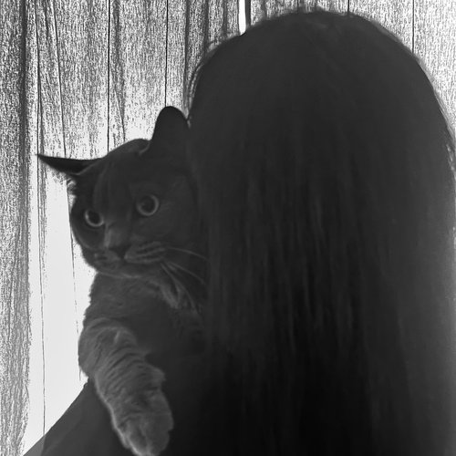 Екатерина, 7 ноября 2025