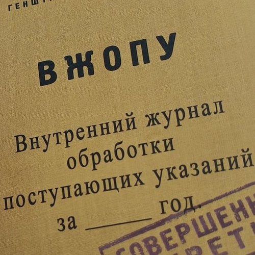 Елена, 18 ноября 2025