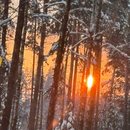 Ирина, 2 октября 2025