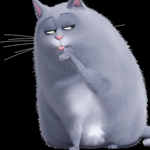 Дарья, 1 ноября 2025